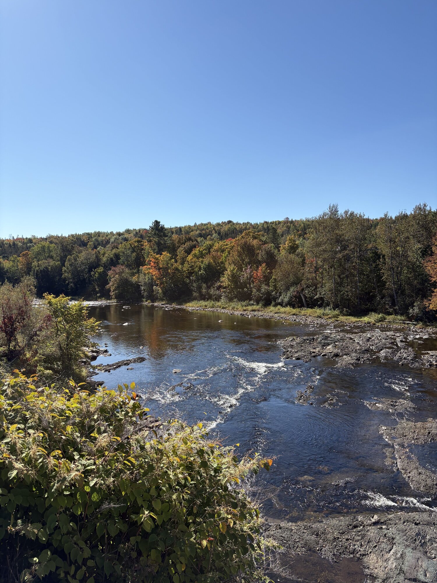 Over looking a river in New Brunsiwck.